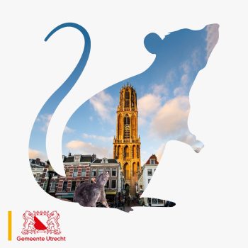 Rattencampagne Gemeente Utrecht