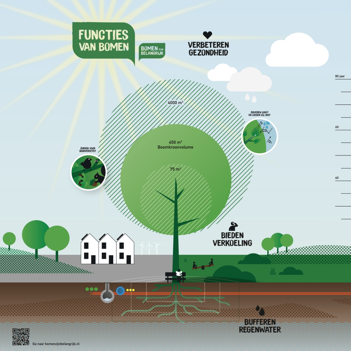 1. caroussel_NB3_infographic